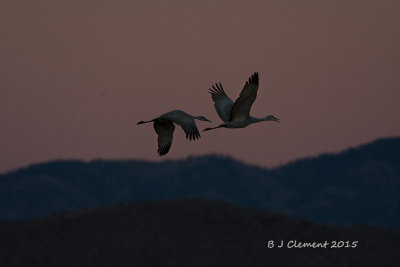 Sunrise Sandhills