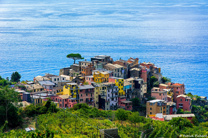 Corniglia