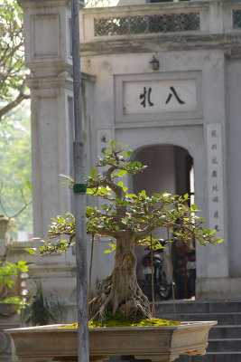 temple Quan Tanh