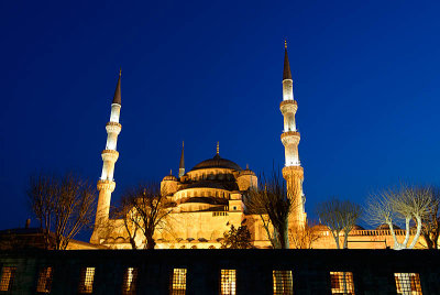 La mosque bleue
