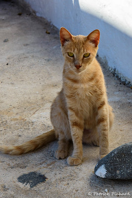 Oia - Santorin