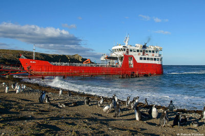 Punta Arenas (Chili)