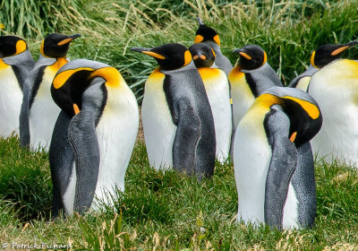 Porvenir (Tierra del fuego)