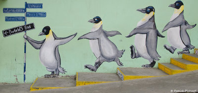 Los pinguinos