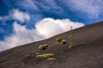 Parque natural de los volcanos