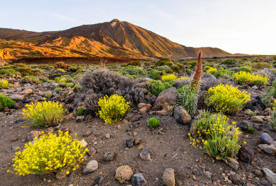 Le Teide