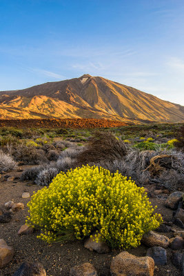 Le Teide