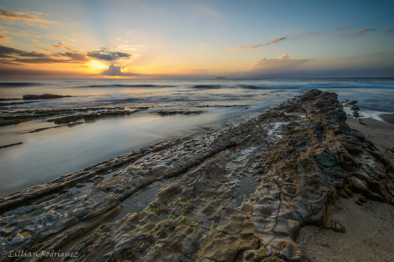 Rugged coastline