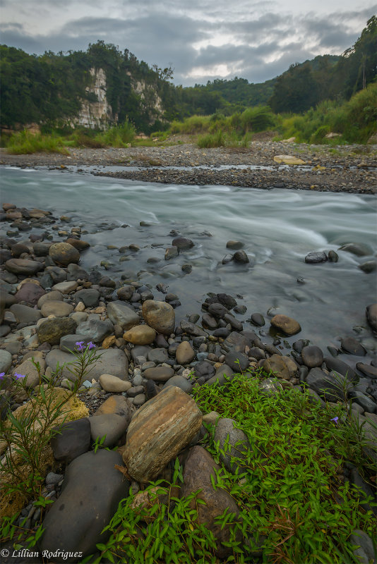 By the river