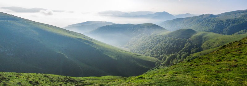 Foggy mountains