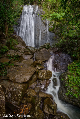 La Coca Falls at Rain forest