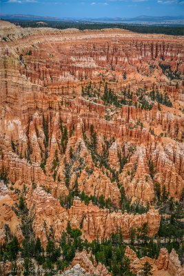 Bryce Point, Bryce NP, Utah