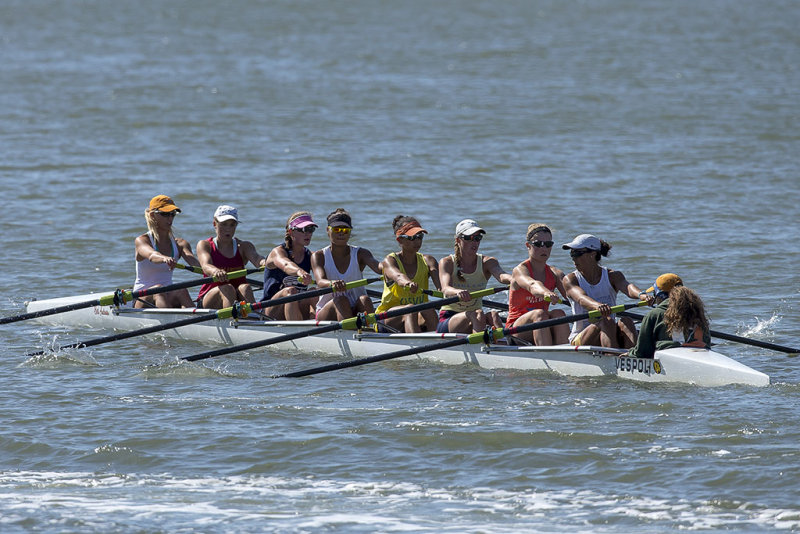 6/3/2013  Rowing