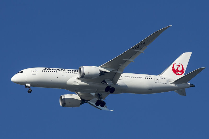9/4/2013  Japan Airlines - JAL Boeing 787-8 Dreamliner JA822J