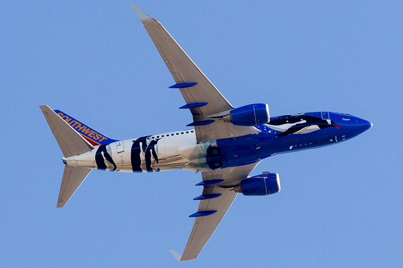 9/16/2013  Southwest Airlines Boeing 737-7H4 Penguin One N280WN