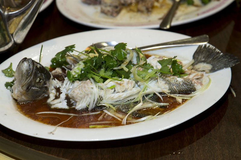 Steamed Fish