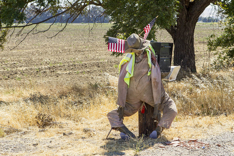 7/2/2014  Mailbox scarecrow