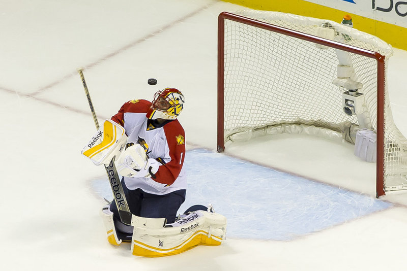 Roberto Luongo makes a save  DA0T8690.jpg