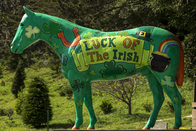3/19/2015  Luck of the Irish