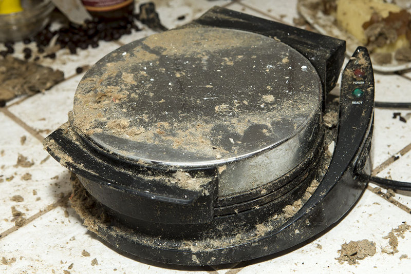 Oster Belgian Waffle Maker