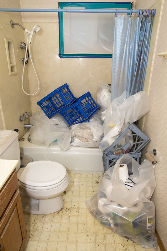 Hall bath