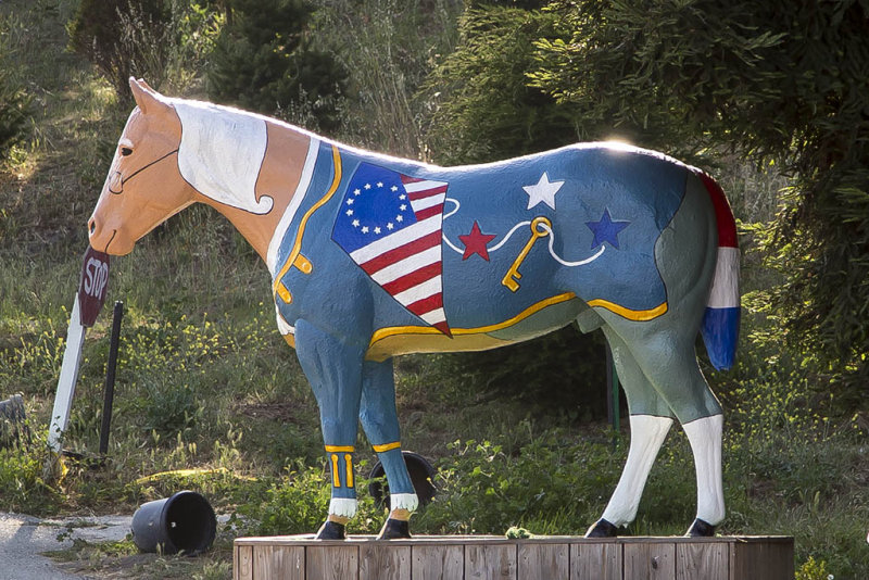 6/30/2015  Lemos Farm Painted Horse