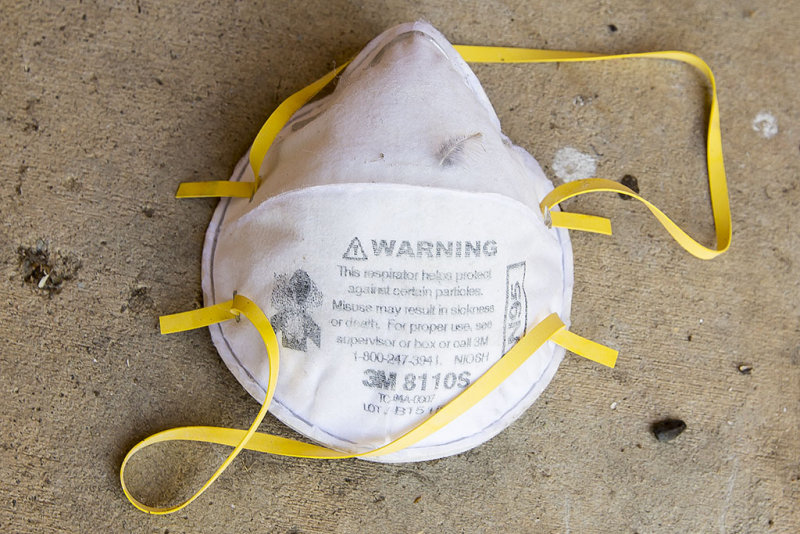 3M Particulate Respirator 8110S, N95