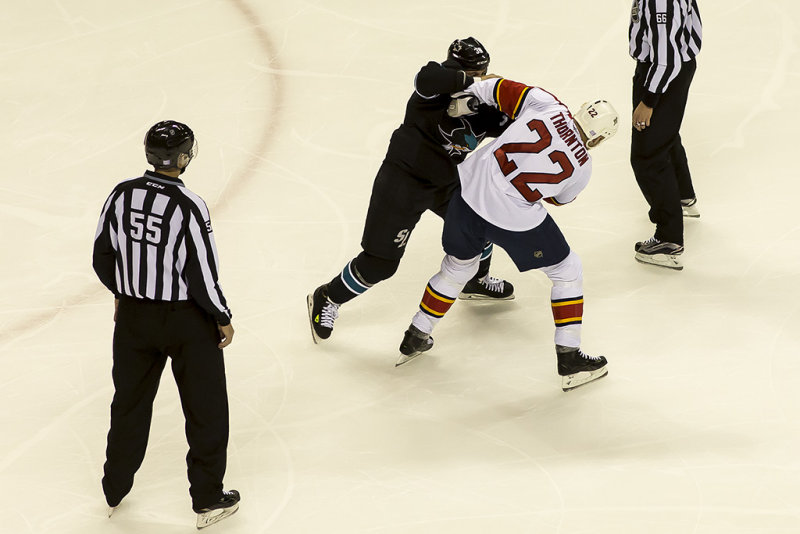 Michael Haley and Shawn Thornton fight  