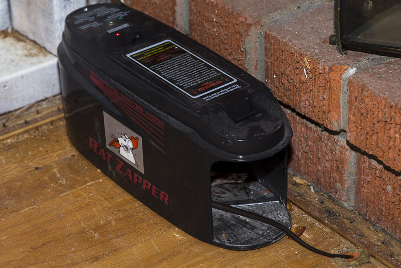 Dead rat #5 in Rat Zapper
