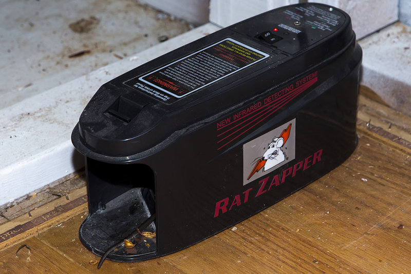 Dead rat #7 in Rat Zapper