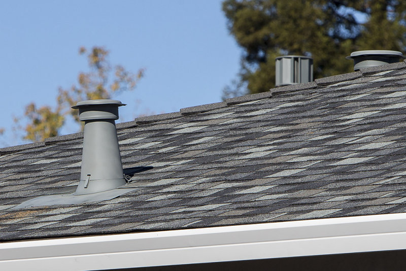 Water heater vent
