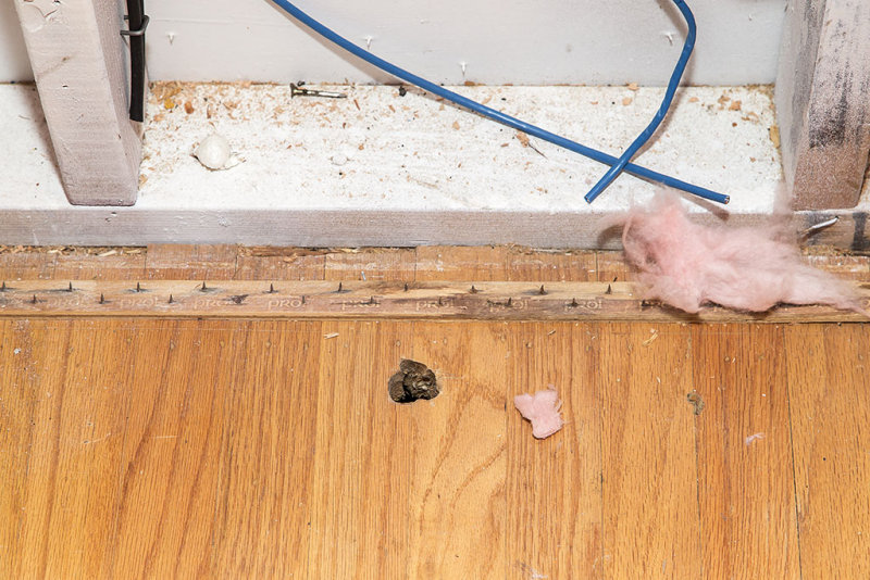 Living room hole in floor