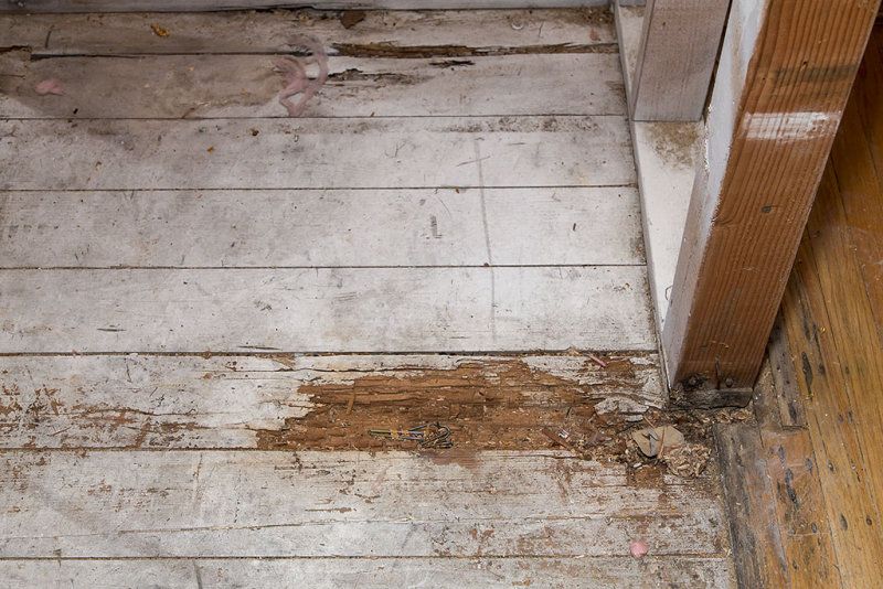 Kitchen floor
