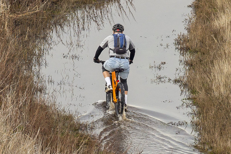 1/21/2016  Riding in the marsh