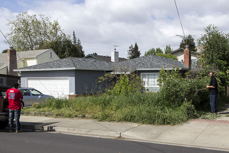 g9/16/531516/2/163004953.NBnaMTW6.jpg