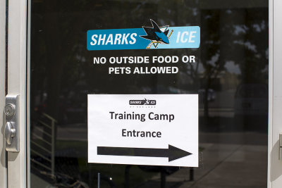 San Jose Sharks 2013 Training Camp