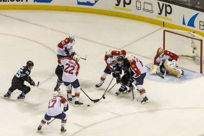 Florida Panthers vs. San Jose Sharks - November 20, 2014