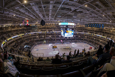 Boston Bruins vs. San Jose Sharks - December 4, 2014