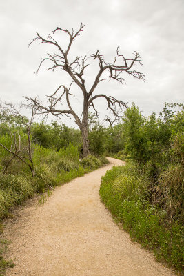 Santa Ana National Wildlife Refuge