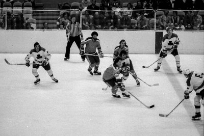 Pacific Hockey League 1977-1979 / San Francisco Shamrocks