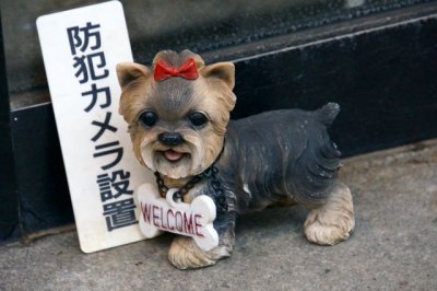 TOKYO003.jpg