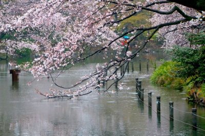TOKYO006.jpg