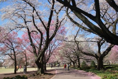 TOKYO011.jpg