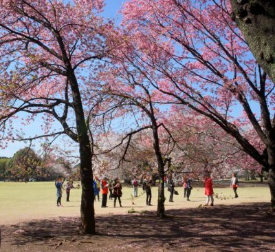 TOKYO013.jpg