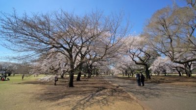TOKYO016.jpg