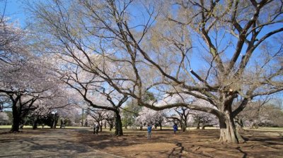 TOKYO018.jpg