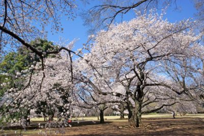 TOKYO020.jpg