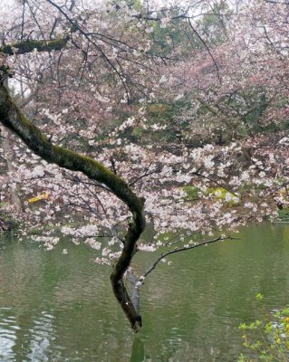 TOKYO022.jpg