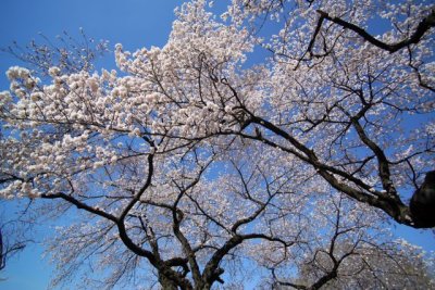 TOKYO023.jpg