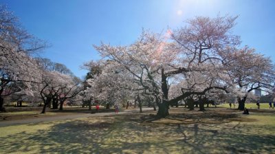 TOKYO024.jpg